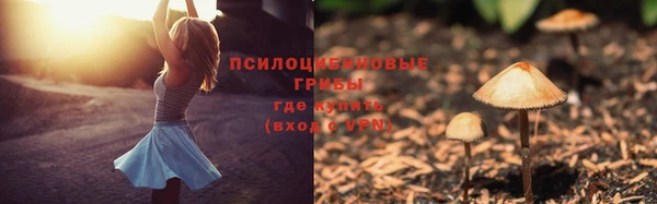 MESCALINE Нязепетровск