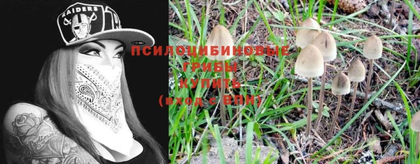 стаф Чегем