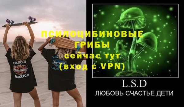 синтетический гашиш Няндома