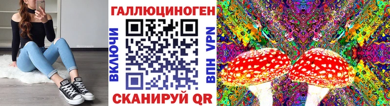 купить наркоту  Юрга  Галлюциногенные грибы Magic Shrooms 