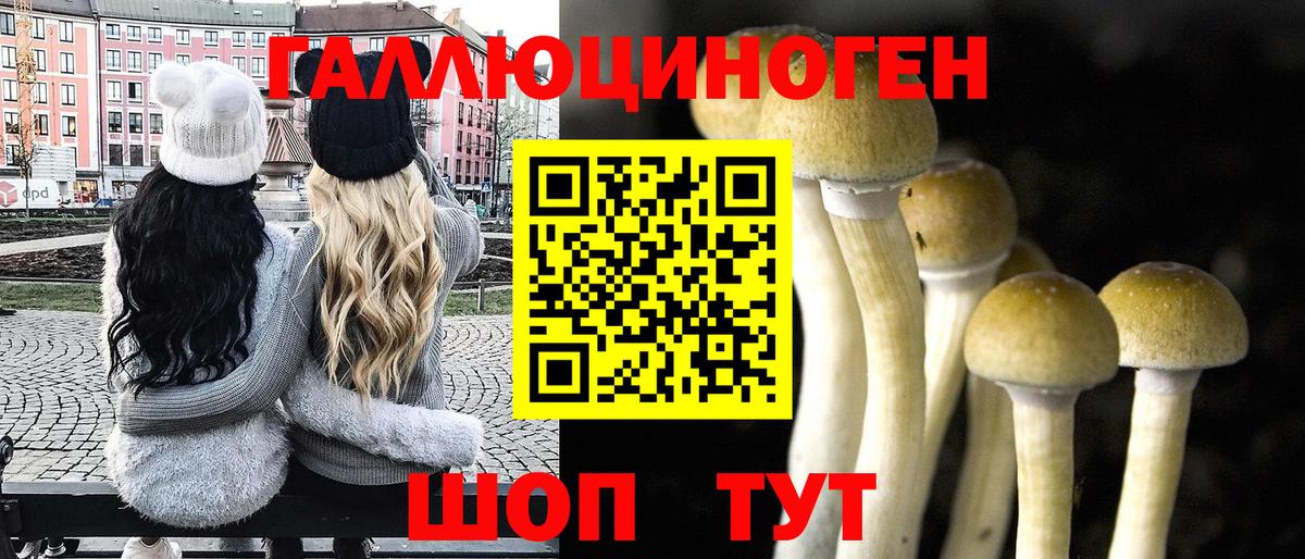 Юрга  Галлюциногенные грибы GOLDEN TEACHER  Вход с VPN 
